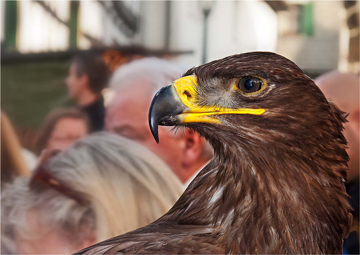 Klarer Blick...