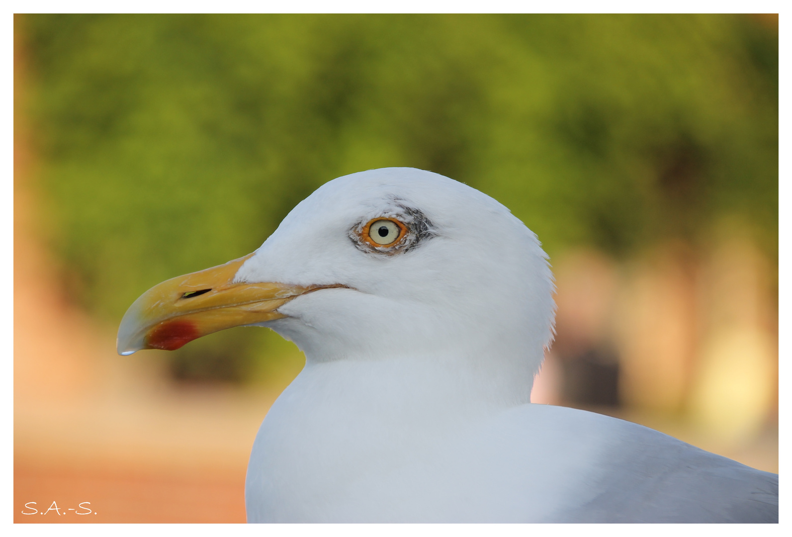 Klarer Blick