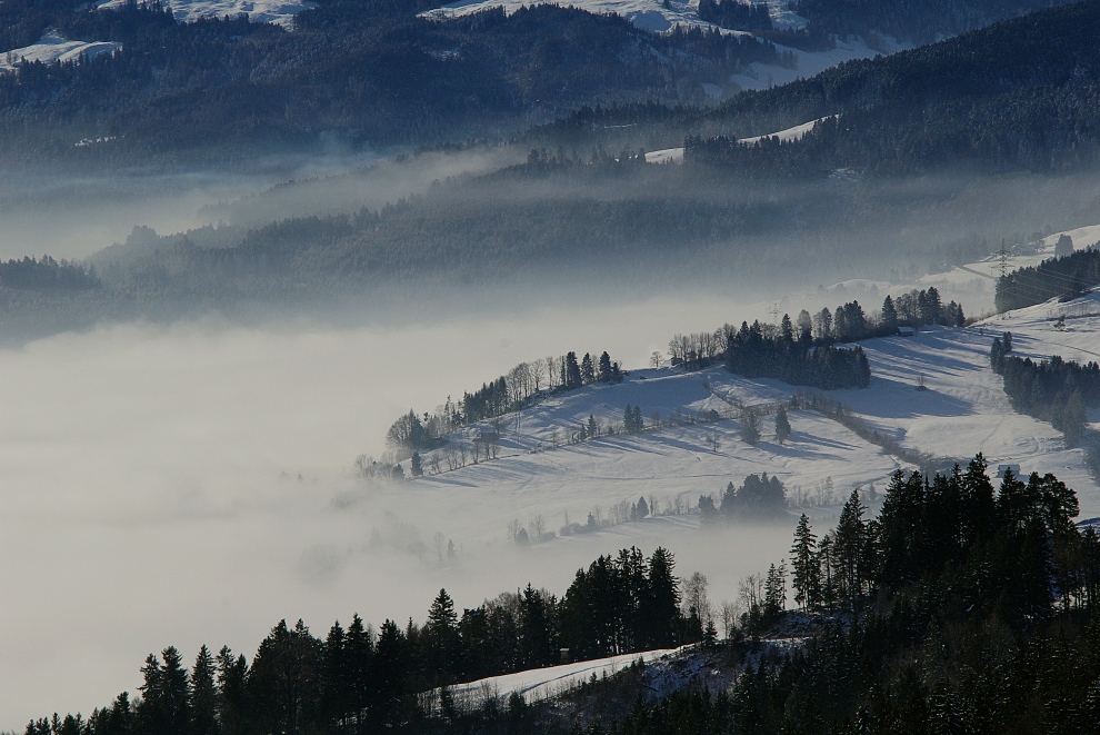 Klarer Blick - trotz Nebel