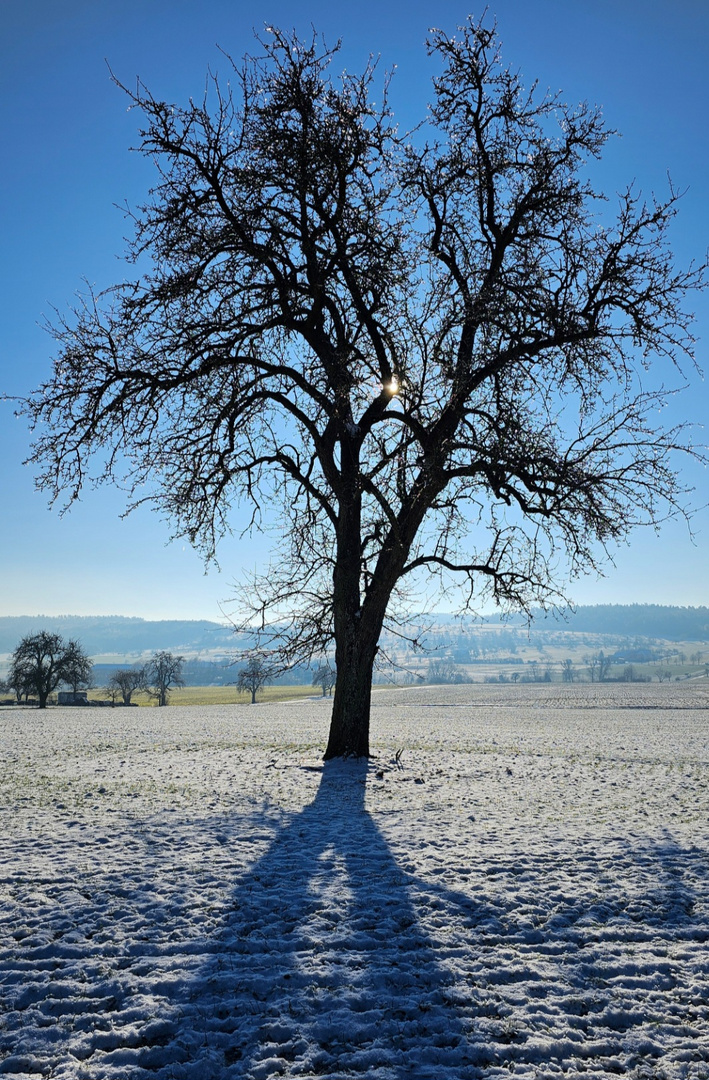 Klarer Himmel an einem kühlen Morgen 