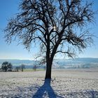 Klarer Himmel an einem kühlen Morgen 