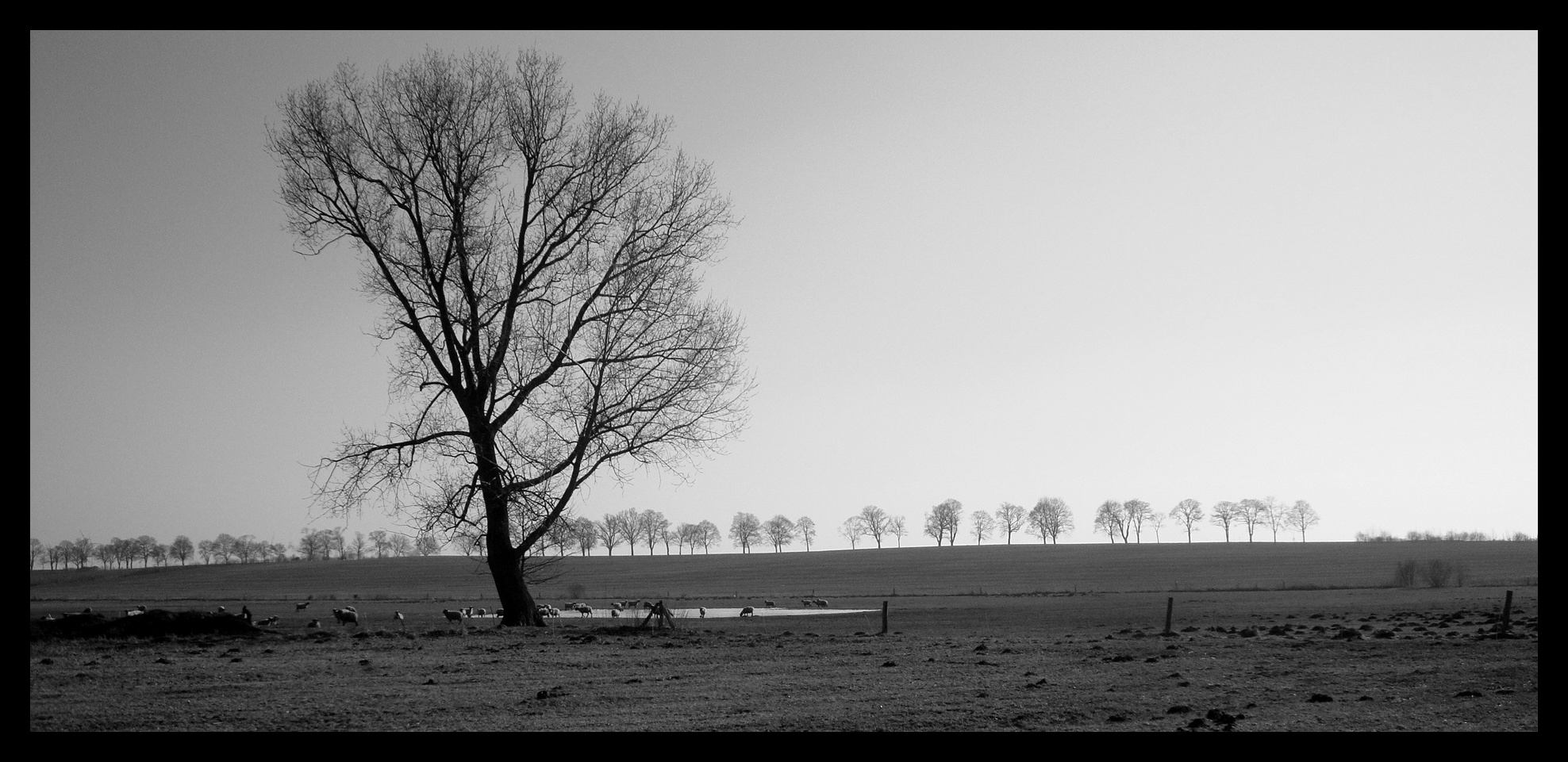 Klarer,kalter Tag mit weitem Blick