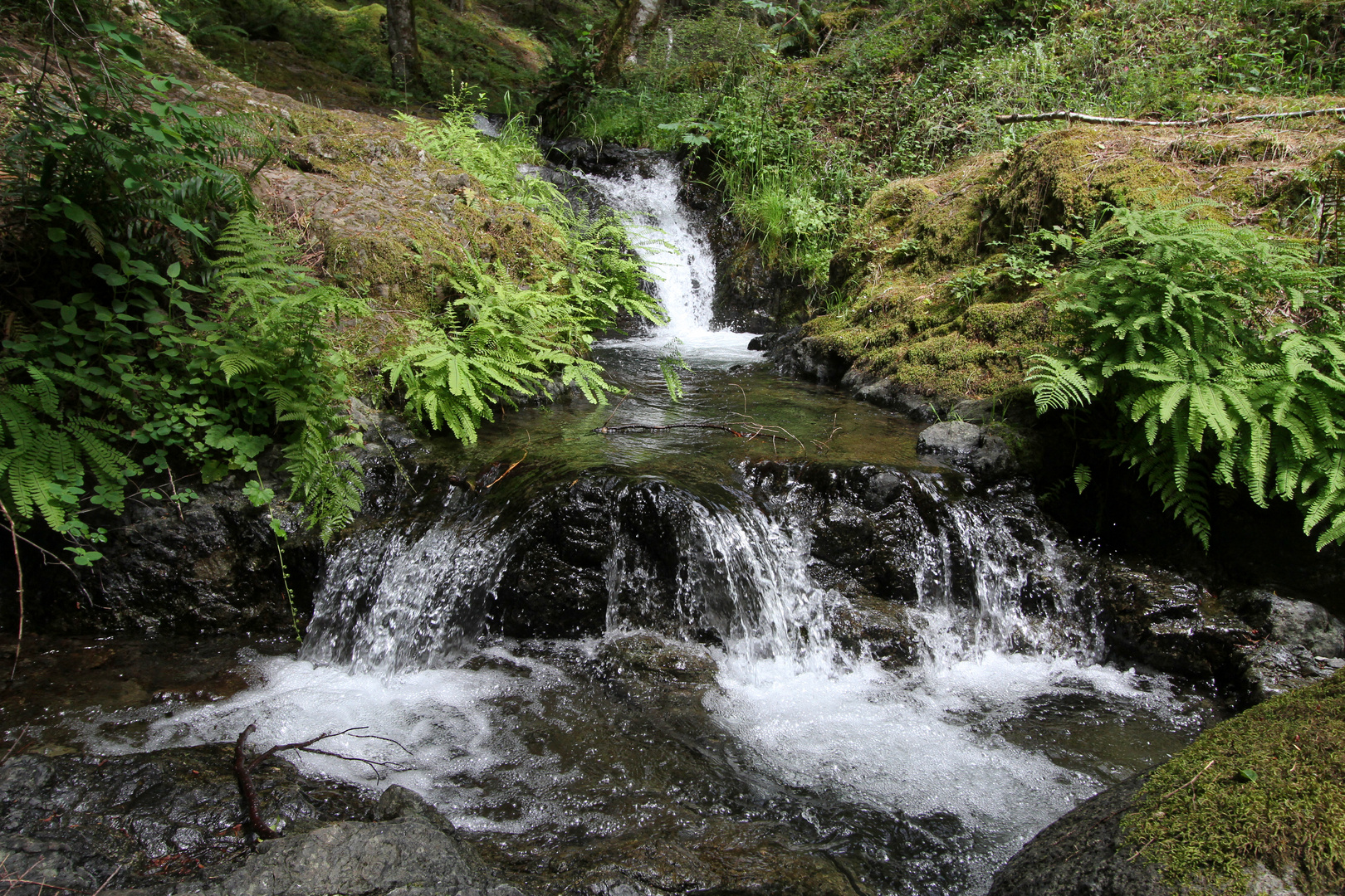 klares Bergwasser