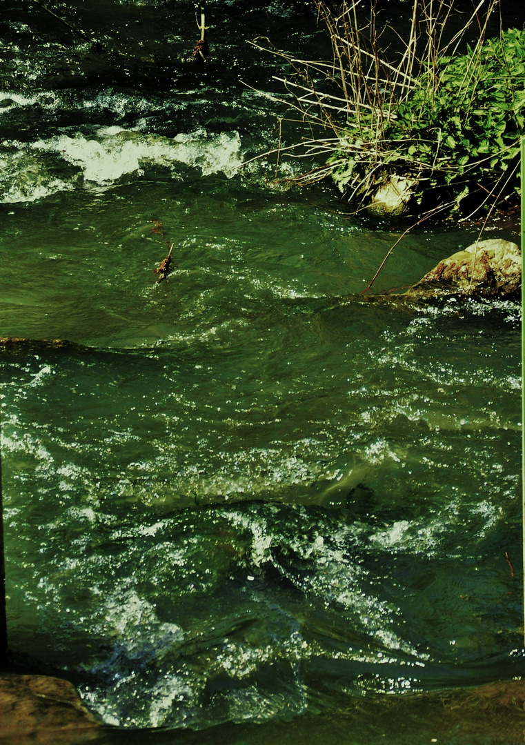 klares frisches lebendiges Wasser