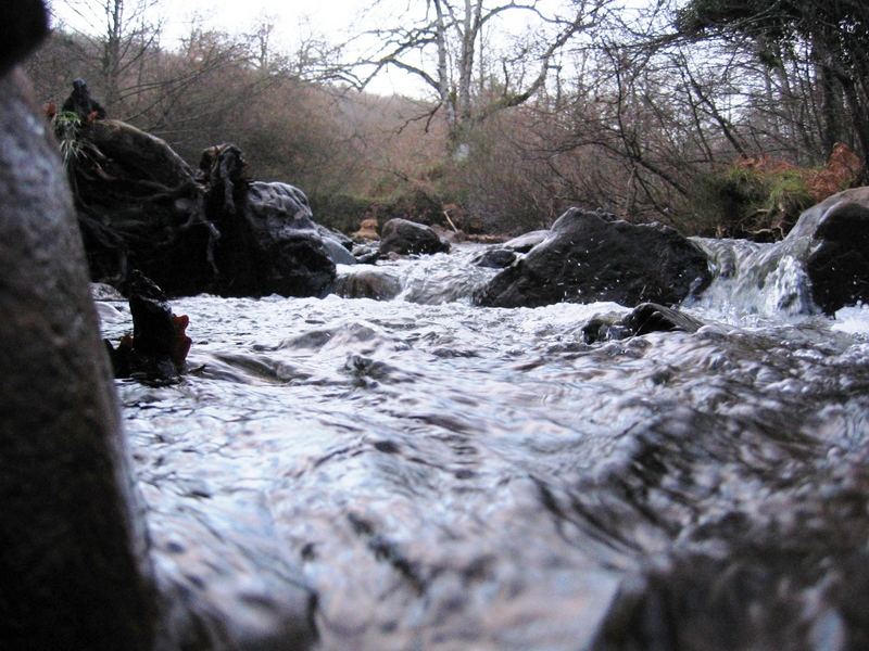 klares kaltes wasser