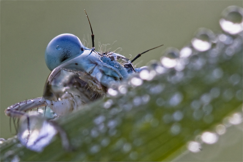 Klares kaltes Wasser