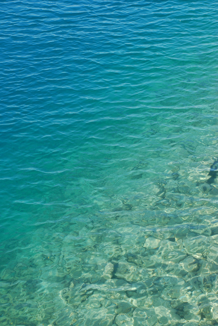 Klares Türkis in allen Variationen im Thunersee