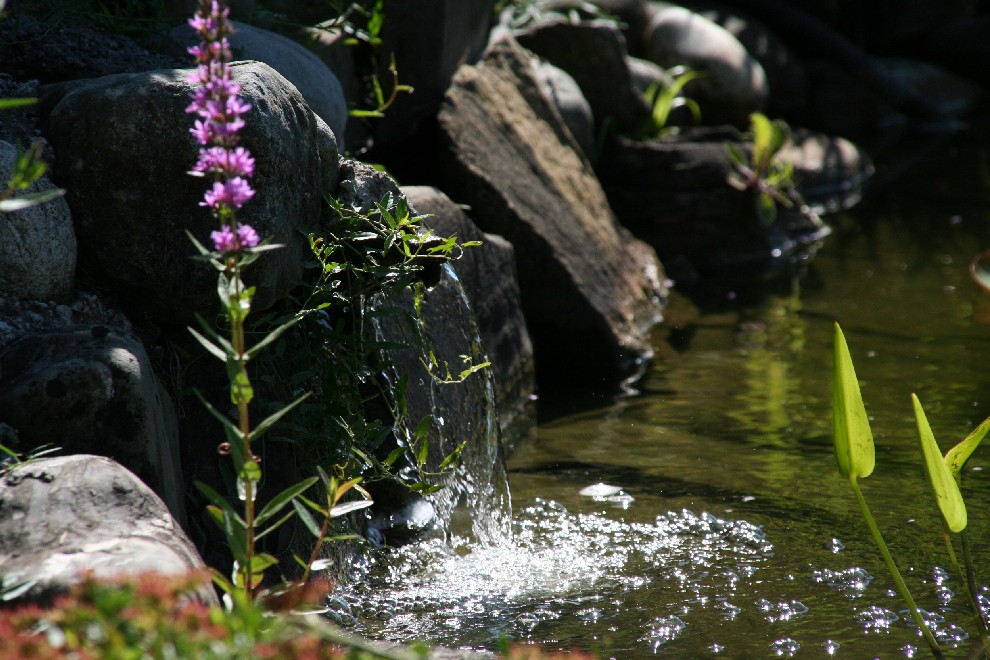 klares Wasser von Werner Kirchhofer