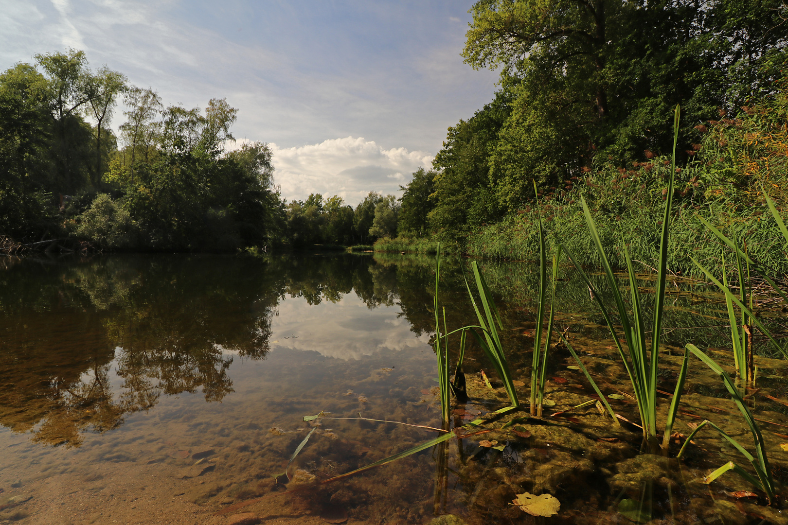 Klares Wasser