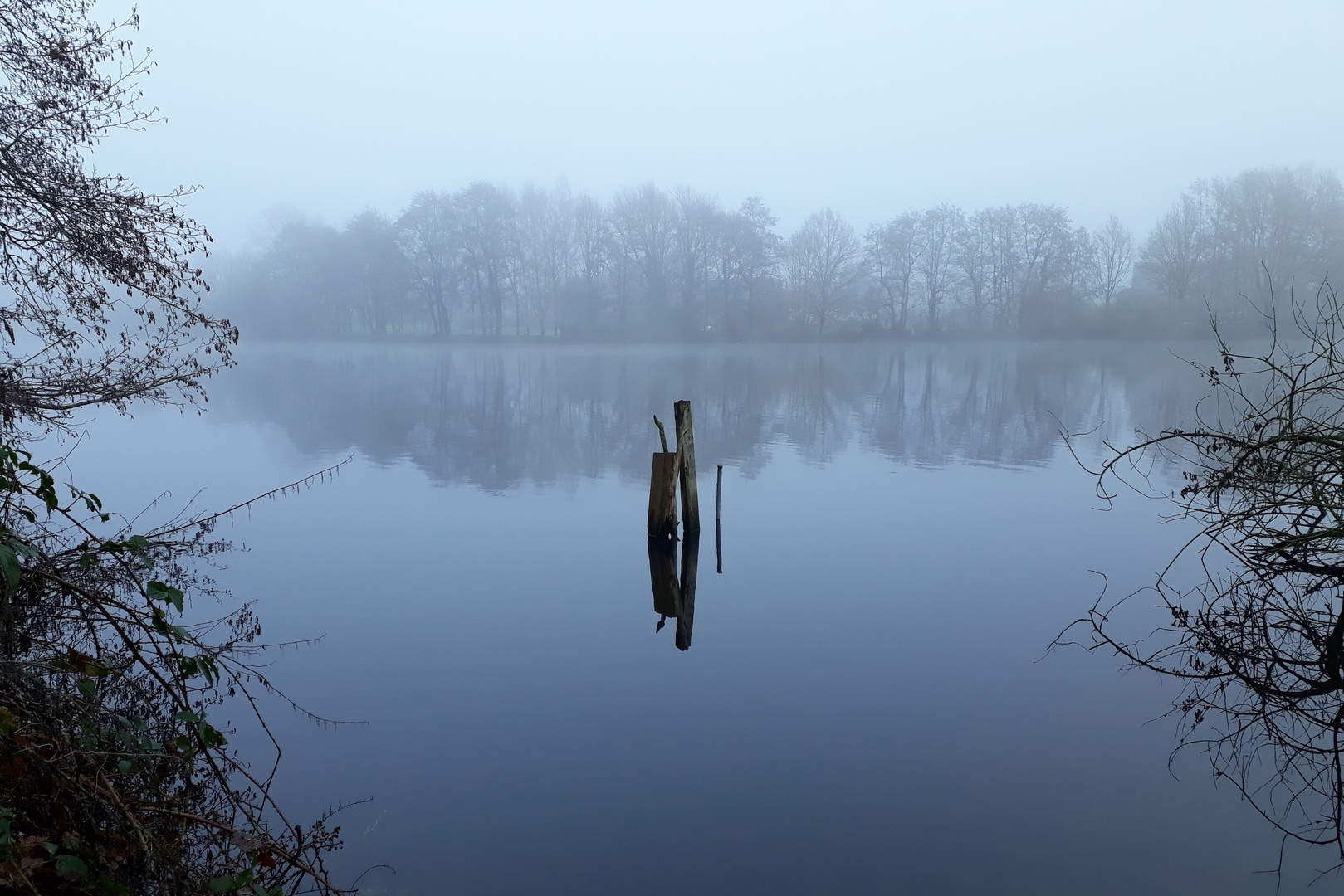 Klarheit im Nebel