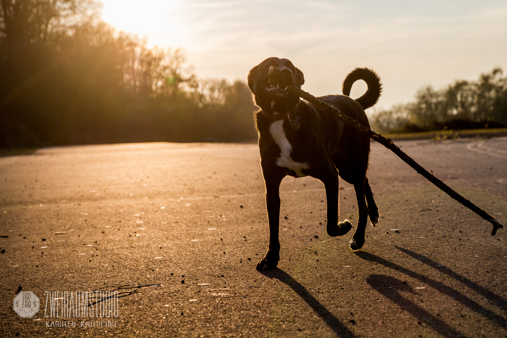 Klasse Sonnenuntergangs spaziergang