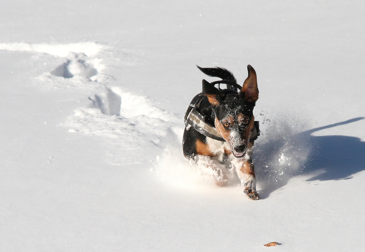 Klasse, Tiefschnee