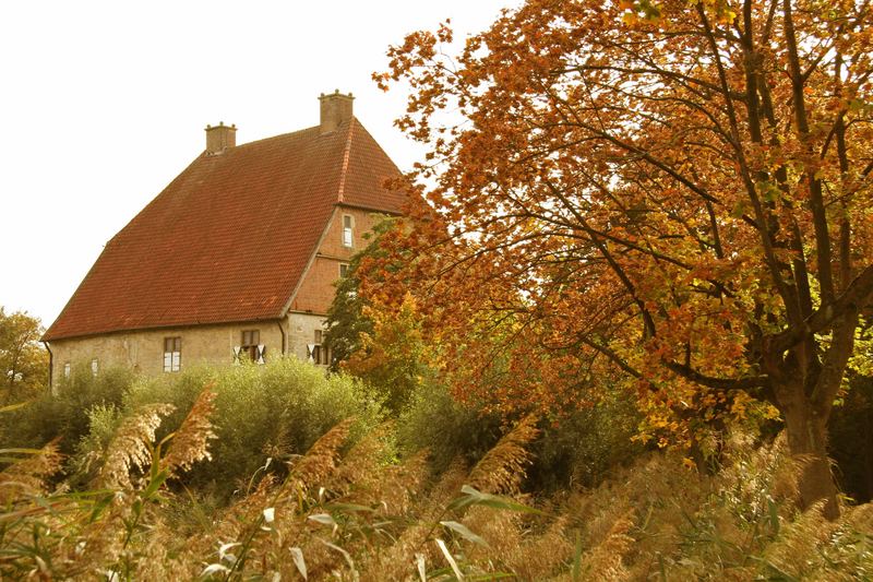 Klassik Herbst - Burg+Baum