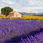 Klassiker der Provence