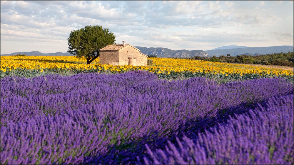 Klassiker der Provence