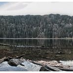 Klassiker: Feldsee im Herbst