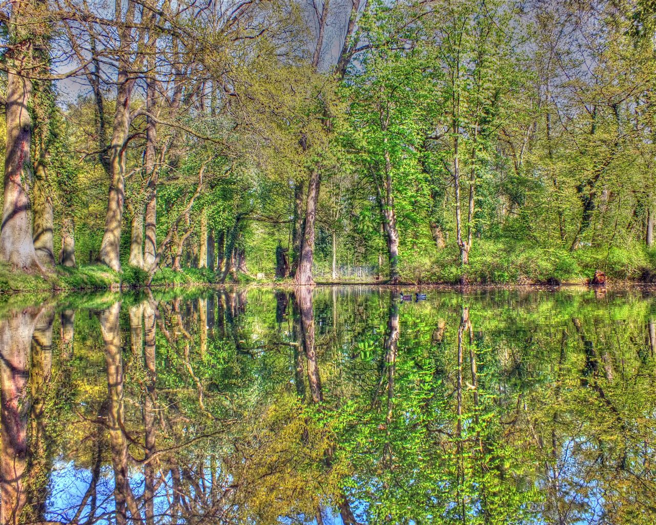 Klassisches Maigrün im Spiegelbild