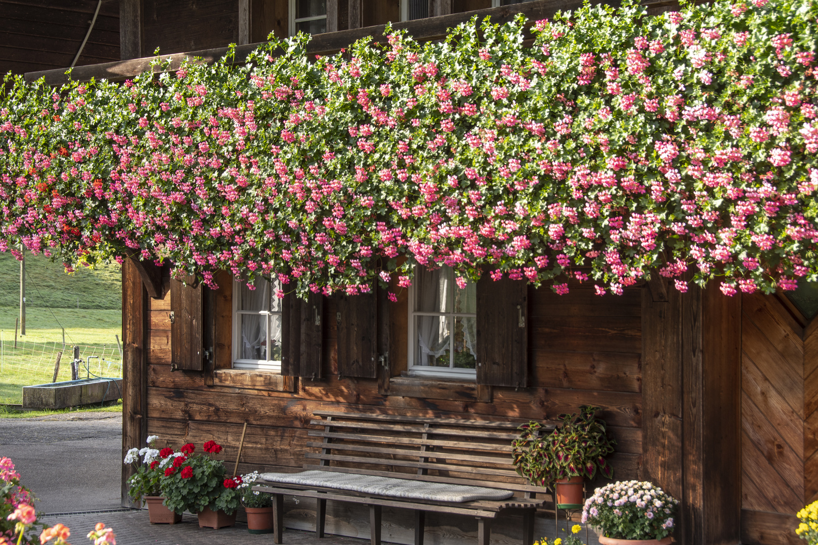 Klassisches Schwarzwaldhaus mit Blumenschmuck