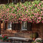 Klassisches Schwarzwaldhaus mit Blumenschmuck