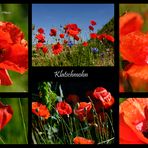 Klatschmohn