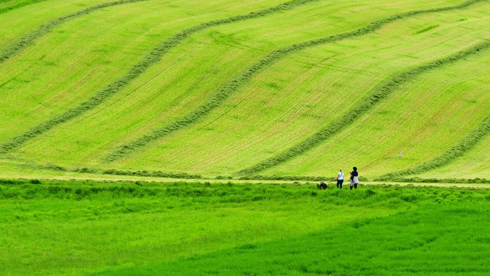 Klaus B Landschft im Odenwald