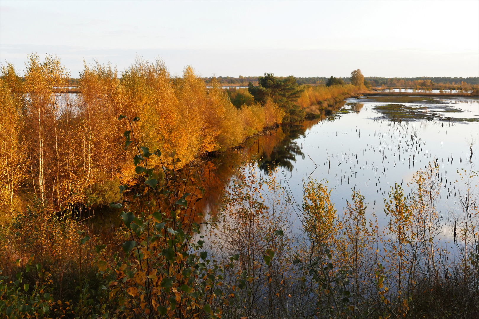 Klaus S Moorlandschaft