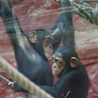 Klaus und Yumma in der Zoom Erlebniswelt