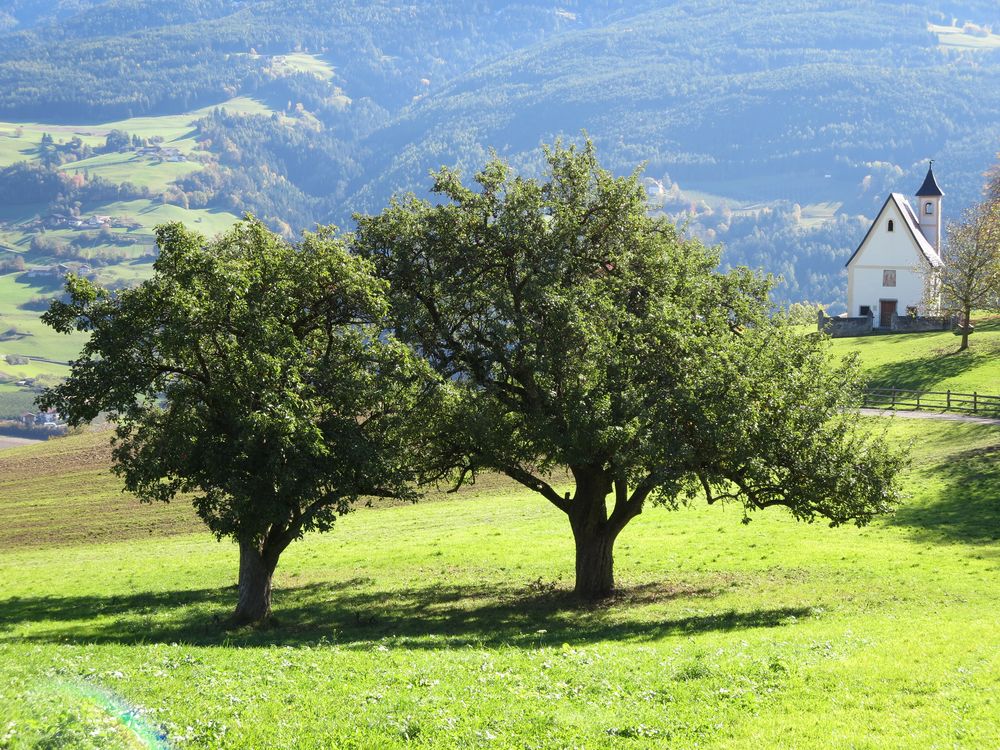 Klausen, 523 m