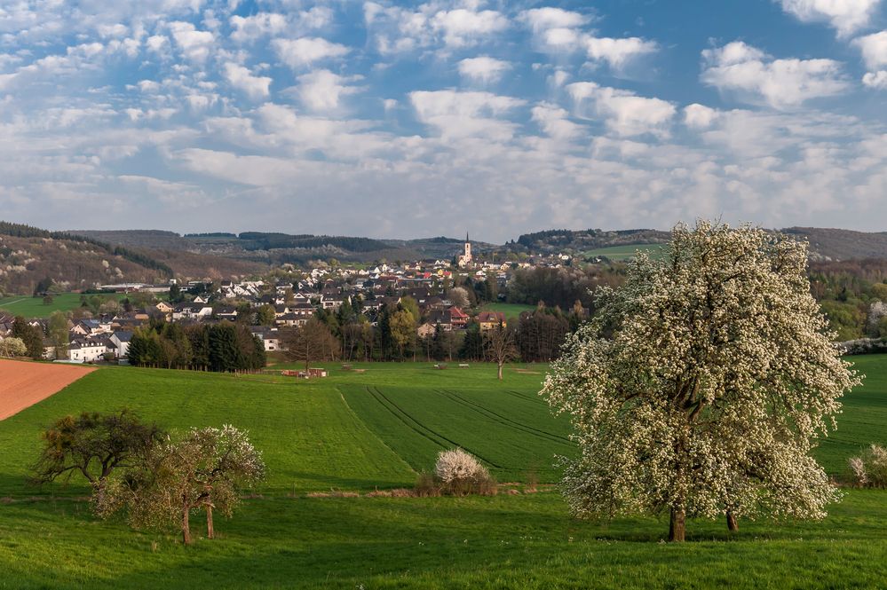 *Klausen im Frühling*