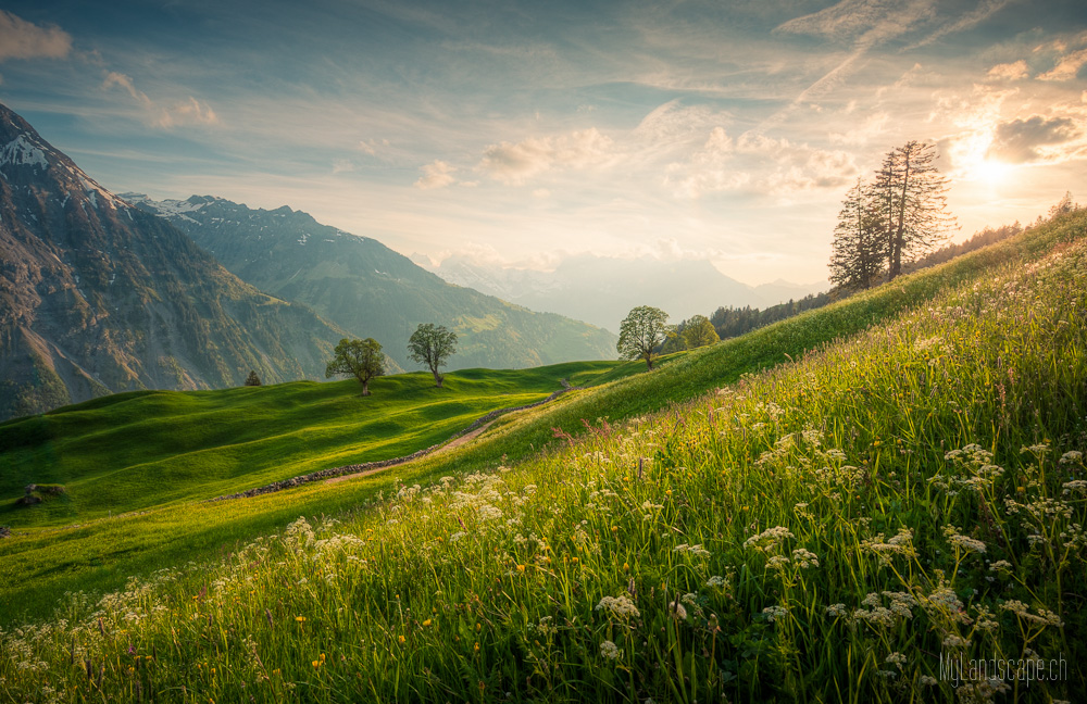 ~ Klausen: Sonnenuntergang am Südhang ~