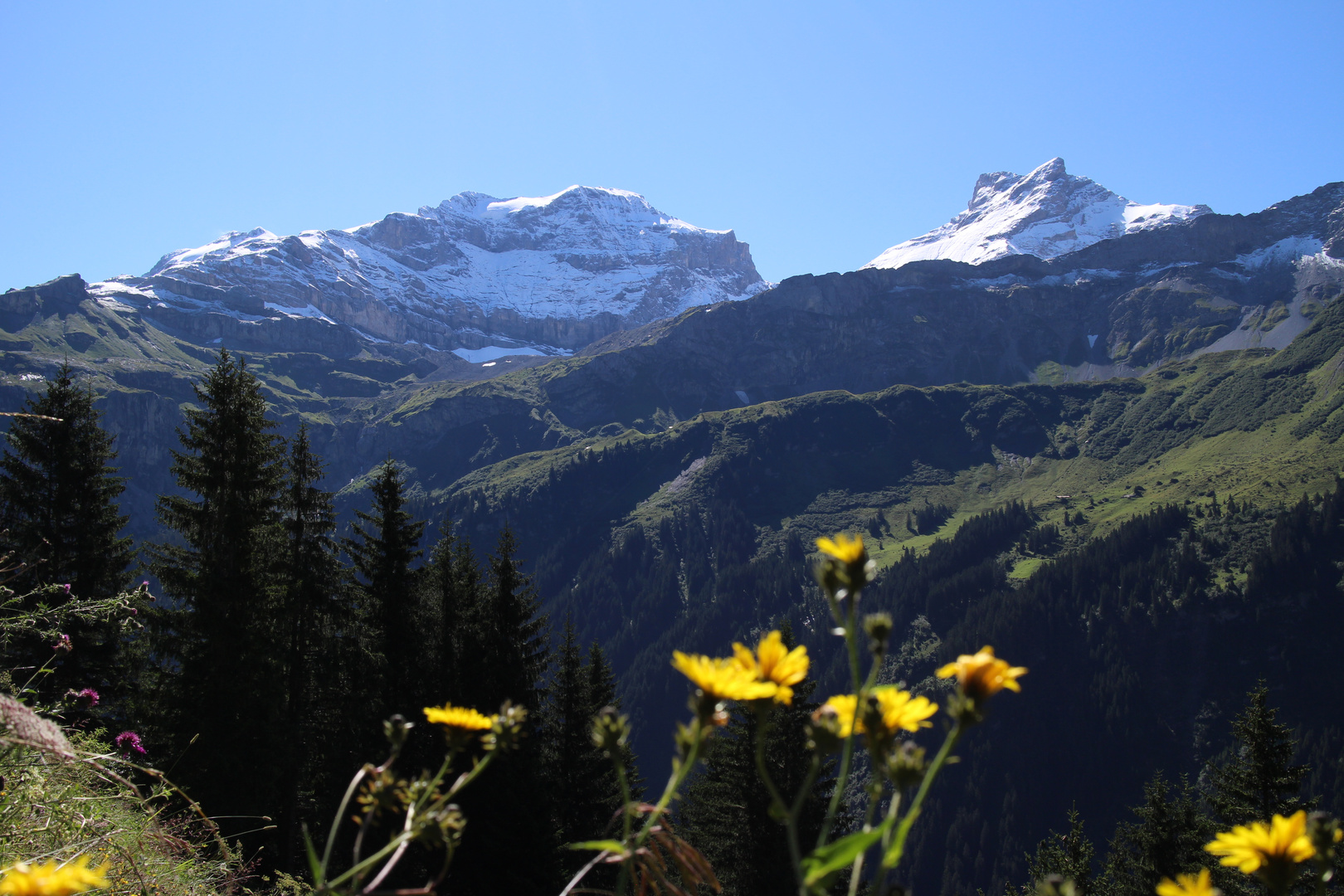 Klausenpass