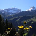 Klausenpass