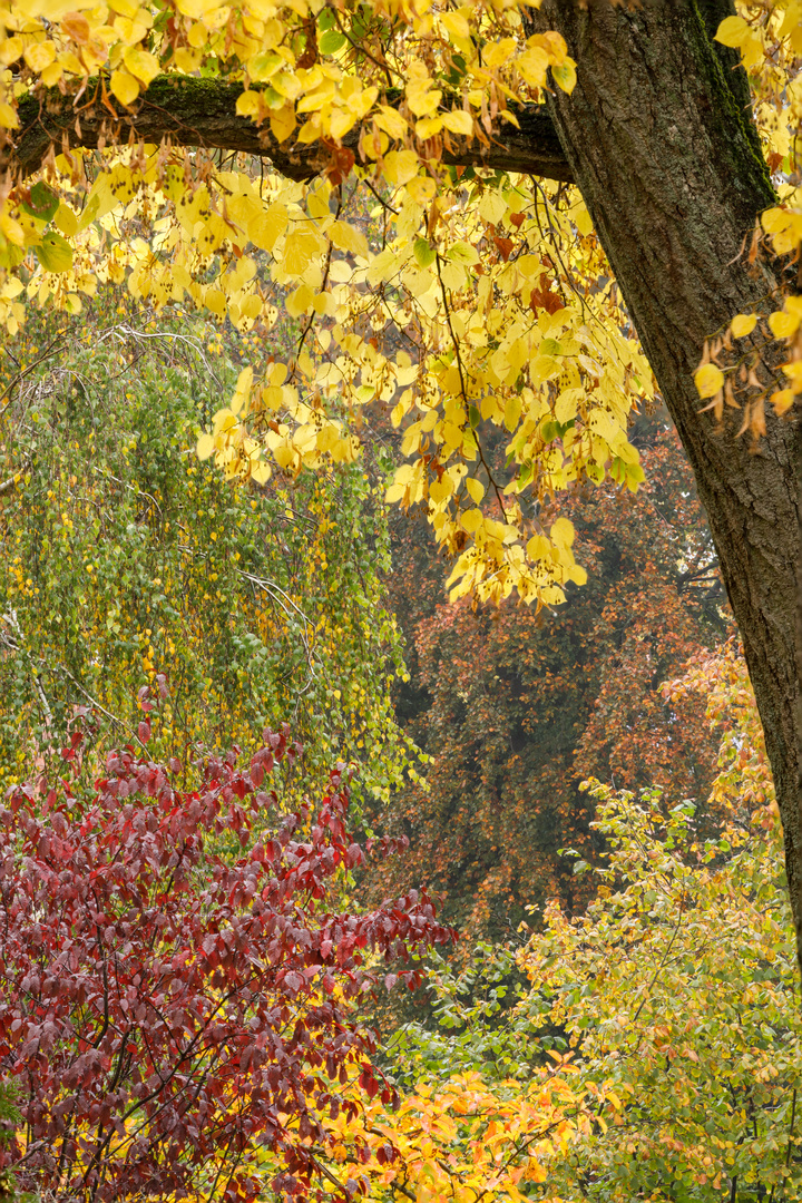 Klaviatur des Herbstes