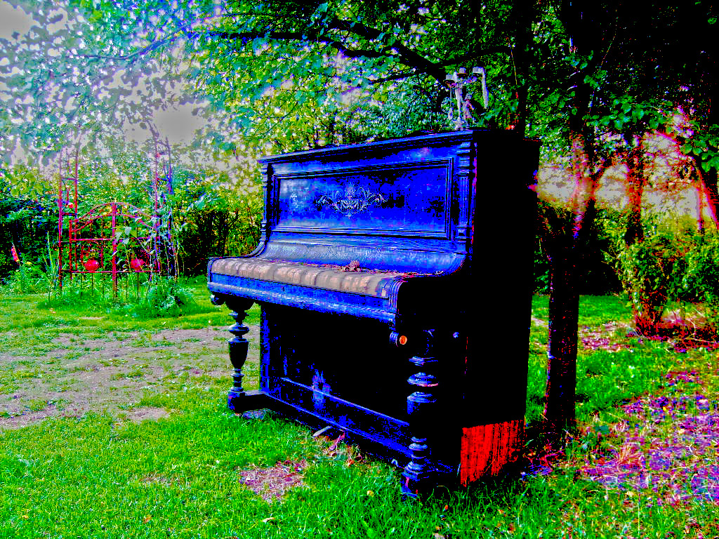 Klavier in freier Wildbahn