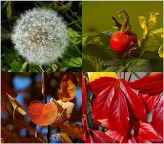 Kleckse in der Landschaft