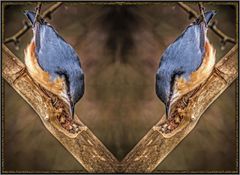 *** KLEIBER's WAPPEN ***