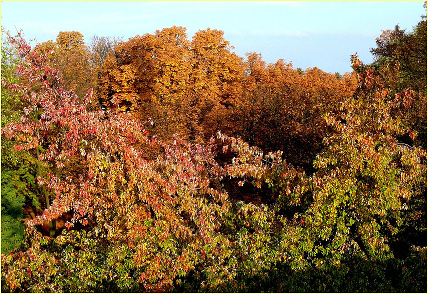 Kleiderwechsel - Die Natur macht Schluss mit Grün