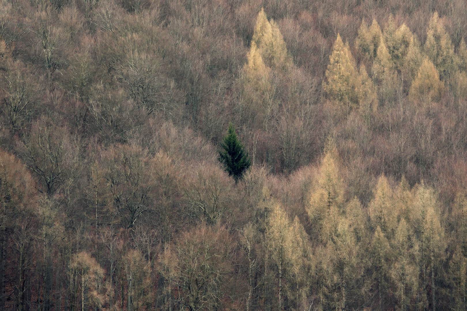 klein, aber auffallend anders