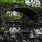 Klein aber fein.... Der Wasserfall im Geisterholz, Ennigerloh, Oelde