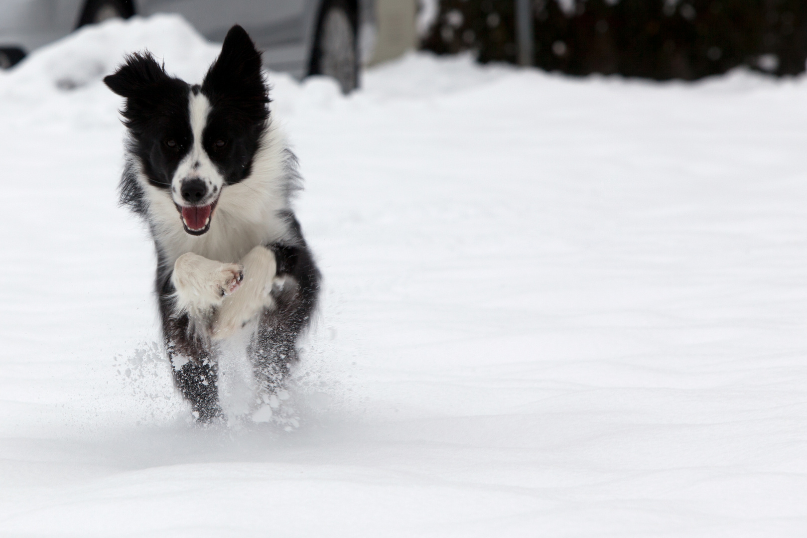 klein aber stampft durch den Schnee wie eine Grosse ;-)