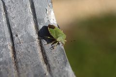 klein aber wunderschön