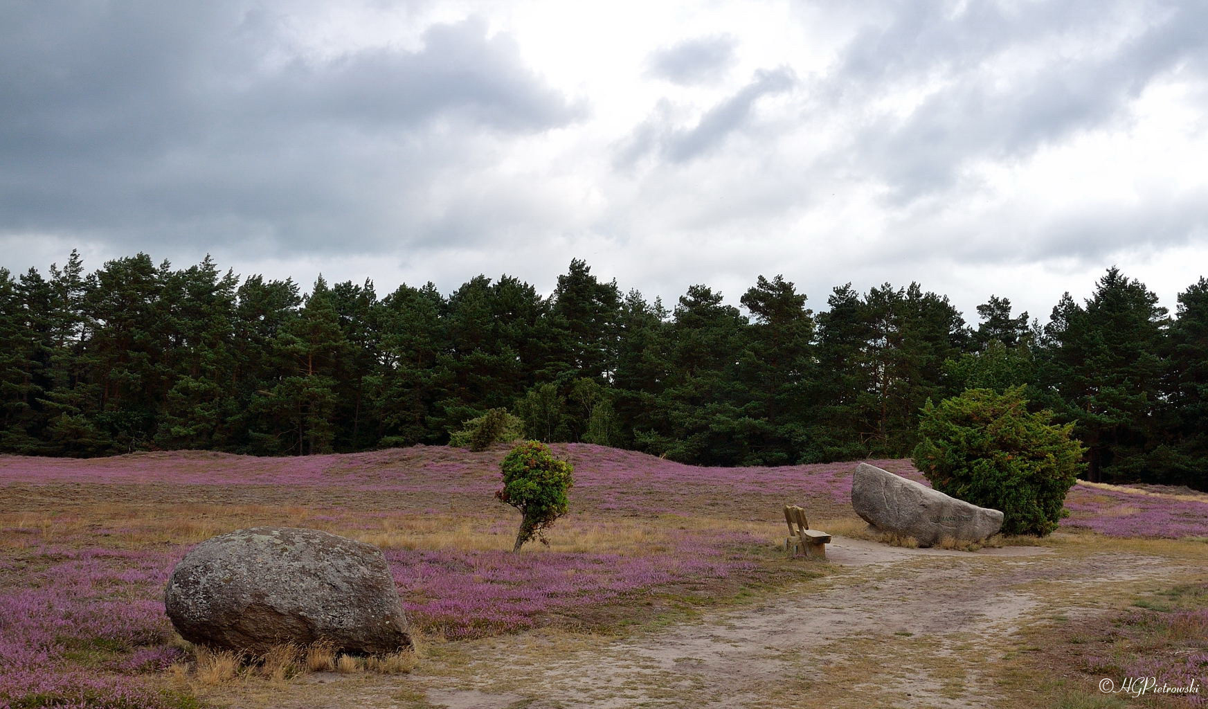 Klein Bünstorfer Heide