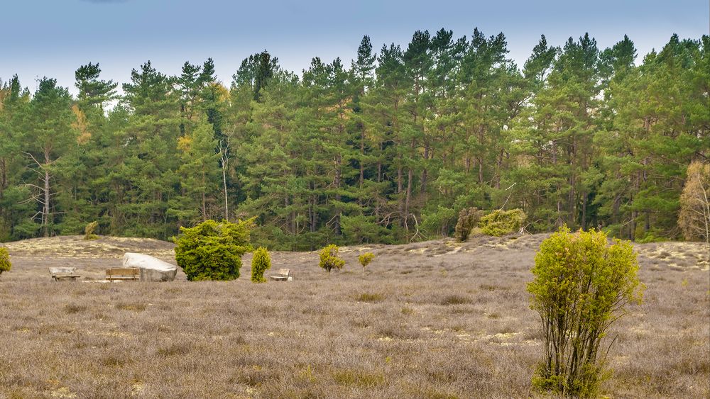 Klein Bünstorfer Heide_D4A1927