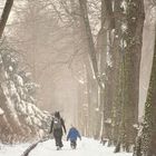 Klein die Menschen, groß die Bäume