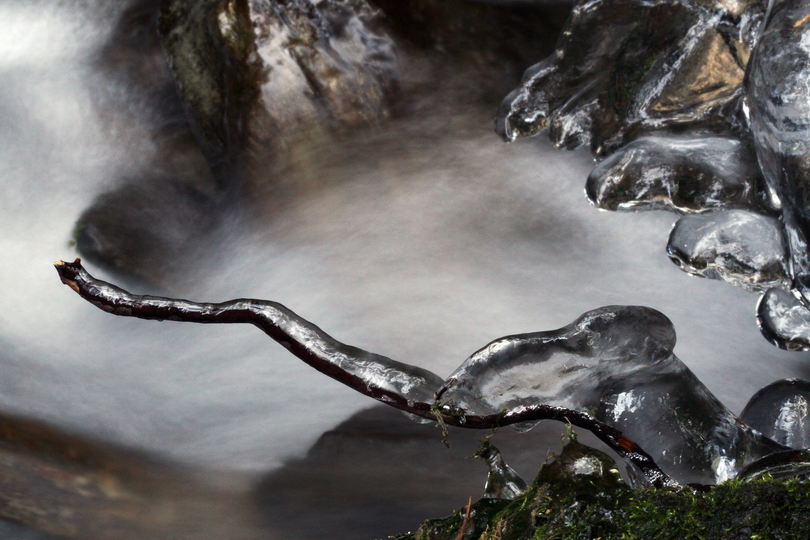 klein Elefant will Wasser