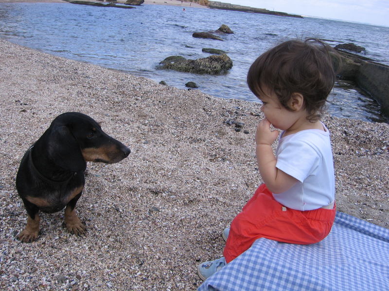 Klein Hund und kleines Mädchen