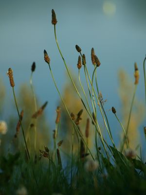 Klein und doch ganz groß