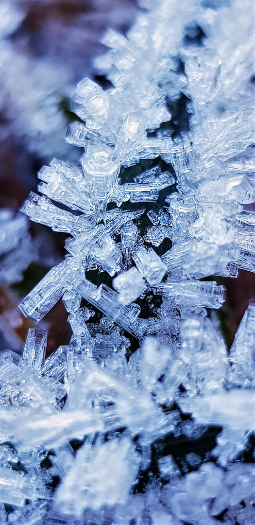 klein und zerbrechlich...Eiskristall..