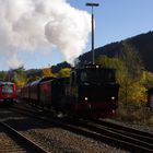 Kleinbahn Bergischer Löwe