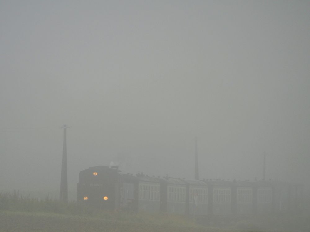 Kleinbahn im Nebel